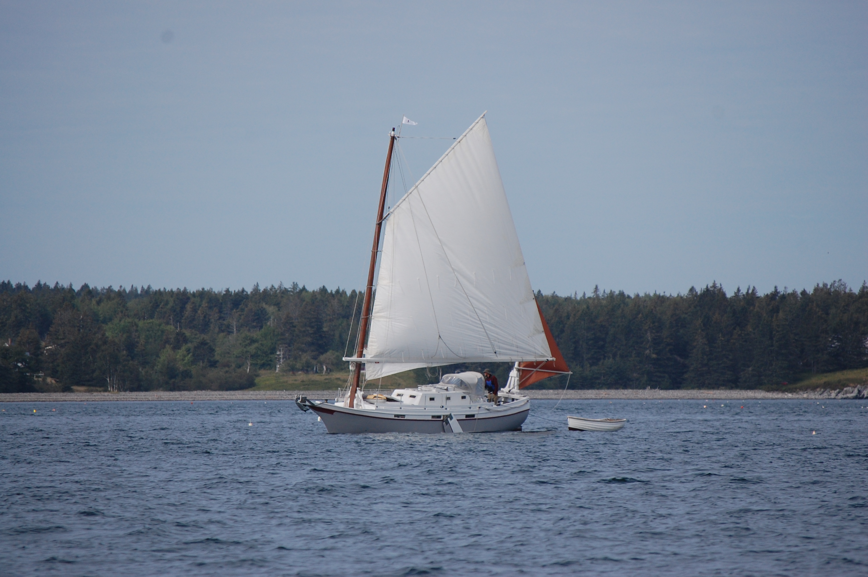 Alert (ex: Manatee) (#357)